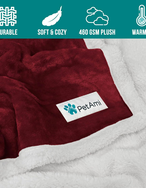 Load image into Gallery viewer, Puppy Dog Blanket | Pet Blanket Small Dog Indoor Cat Kitten | Fleece Sherpa Throw Doggy Blanket Crate Couch Sofa Bed | Soft Plush Fuzzy Fluffy Lightweight Warm Cover, 29X40
