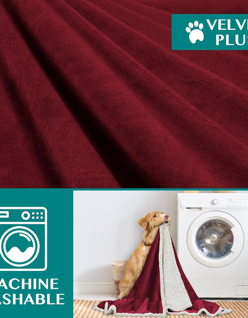 Load image into Gallery viewer, Puppy Dog Blanket | Pet Blanket Small Dog Indoor Cat Kitten | Fleece Sherpa Throw Doggy Blanket Crate Couch Sofa Bed | Soft Plush Fuzzy Fluffy Lightweight Warm Cover, 29X40
