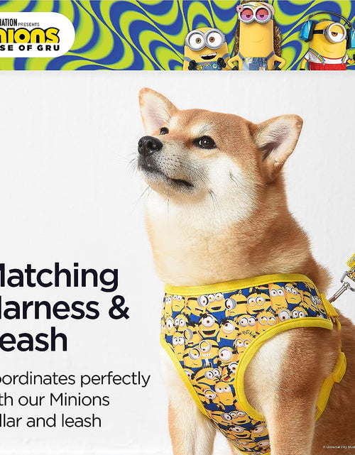 Load image into Gallery viewer, Dog Harness, Medium, Yellow, More than a Minion | Comfortable Mesh No-Pull Dog Harness| Gifts for  Fans and Their Pets | Officially Licensed Pet Product from Universal Studios
